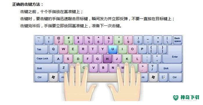 金山打字通2019官方版下载