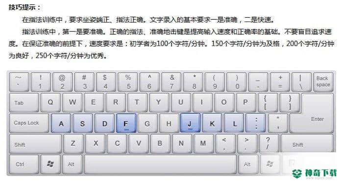 金山打字通2019最新版下载