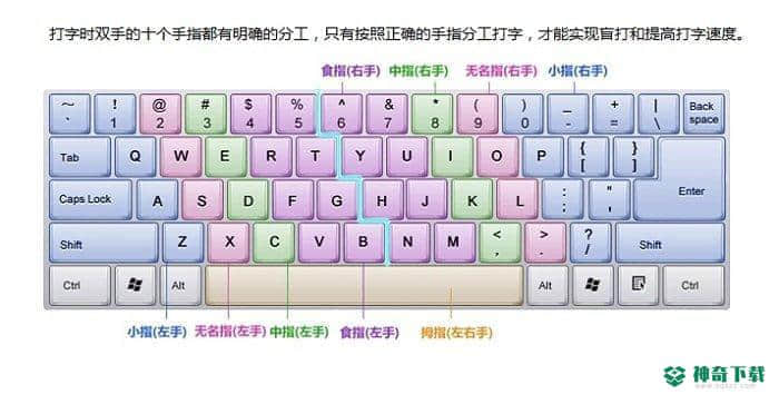 金山打字通2019官方版下载