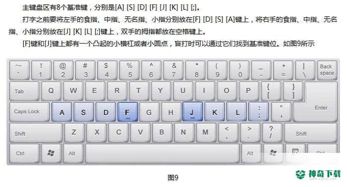 金山打字通2019最新版下载