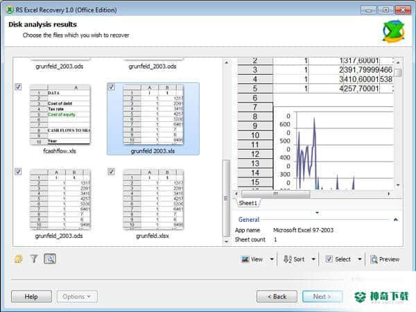 RS Excel Recovery