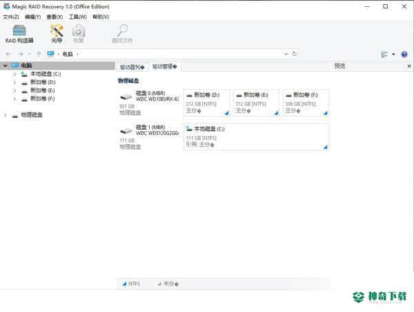 Magic RAID Recovery