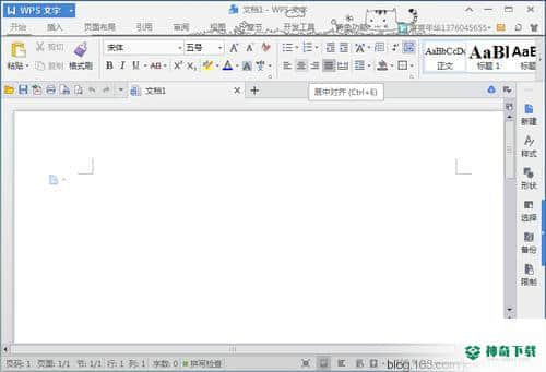 WPS Office