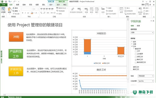 project官方最新版下载