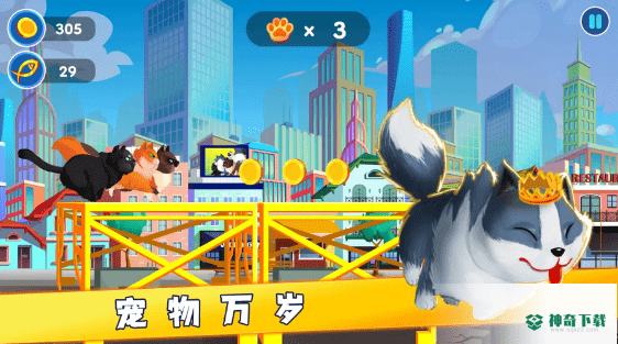 宠物救援任务免费下载
