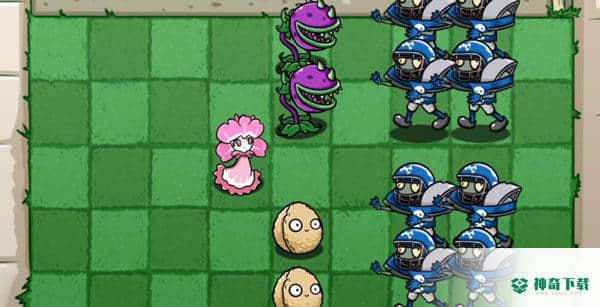 pvz
