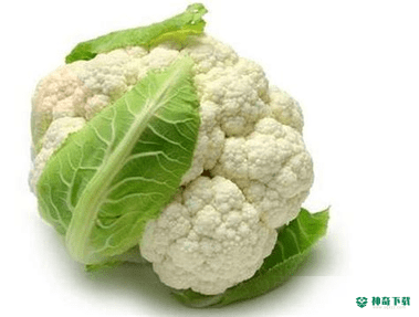 U美食豆果蔬菜最新2022版下载