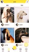 掌心宠物安卓版下载