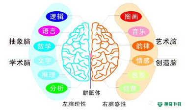 爱思优全脑心算安卓应用下载
