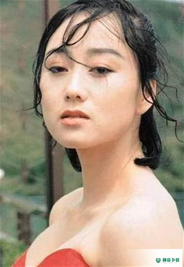 智美人安卓应用下载