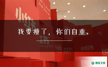 撩电安卓版APP下载