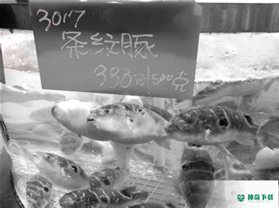 南京12345最新2022版下载