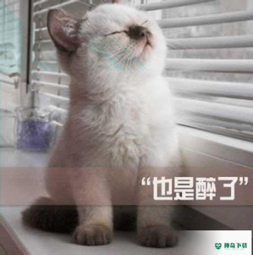 小语网络加速器安卓版下载