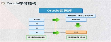 第一学习文库安卓版下载