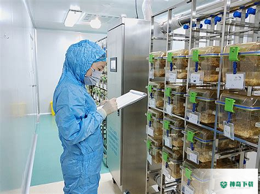企业管理咨询安卓版下载