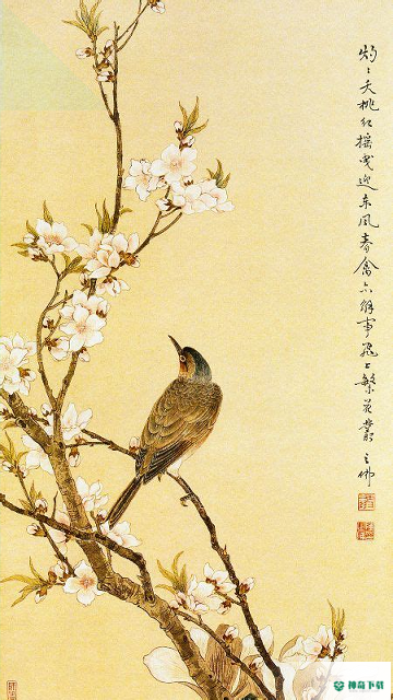 腾讯相册管理安卓应用下载