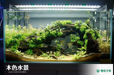 驾考学习大全安卓app下载