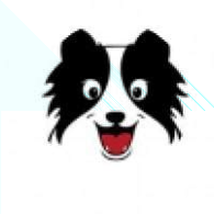 SDOG币下载