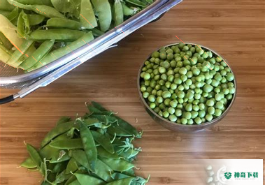 豆荚直播安卓应用下载