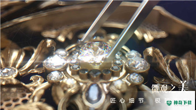以闪亮之名免费下载