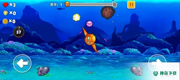 疯狂章鱼