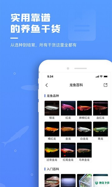 鲲天下安卓app下载