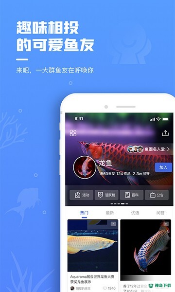 鲲天下app下载