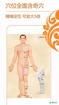 经络养生安卓版下载