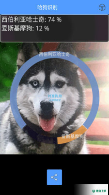 万能拍照识别最新2022版下载