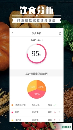 食物派安卓版下载