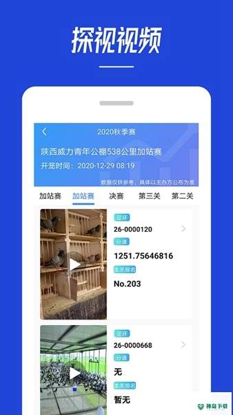 青鸽网安卓app下载