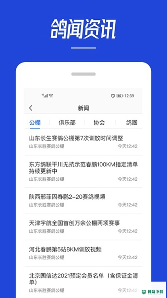 青鸽网安卓版下载