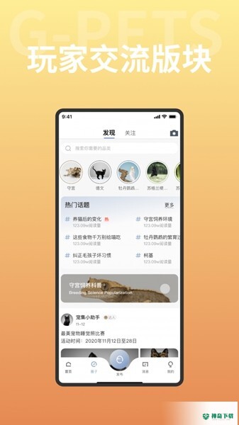 集宠区APP下载