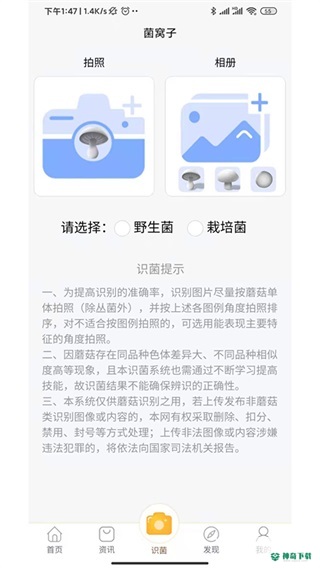 菌窝子最新2022版下载