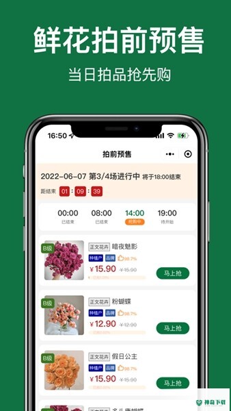 斗南花城2022最新下载