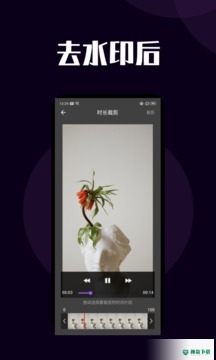 短视频去水印安卓版下载
