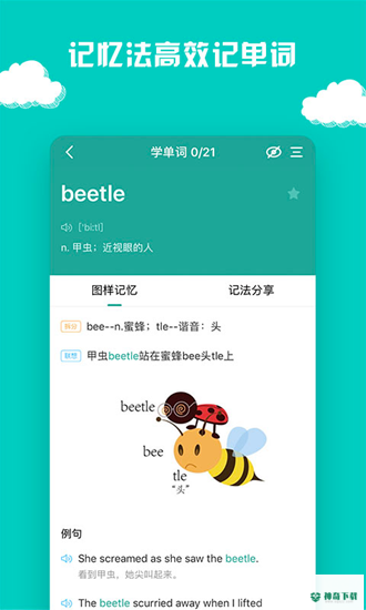 图样单词安卓版下载