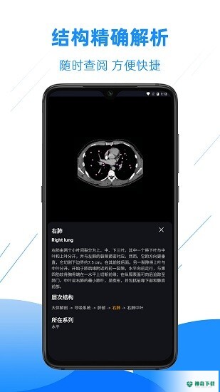 影像解剖图谱安卓应用下载