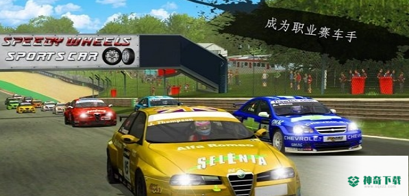 RallyRacerFury3D免费下载