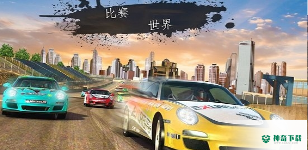 拉力赛狂怒3D免费下载