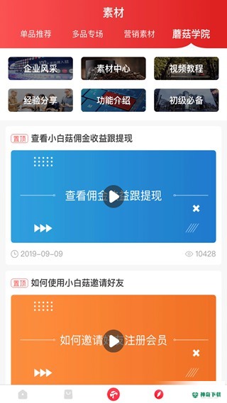 小白菇安卓版下载