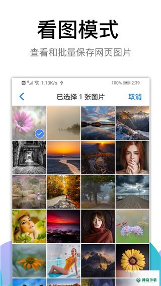 黑狮浏览器2022最新下载