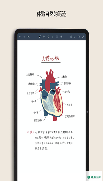 华为平板Noteshelf安卓app下载