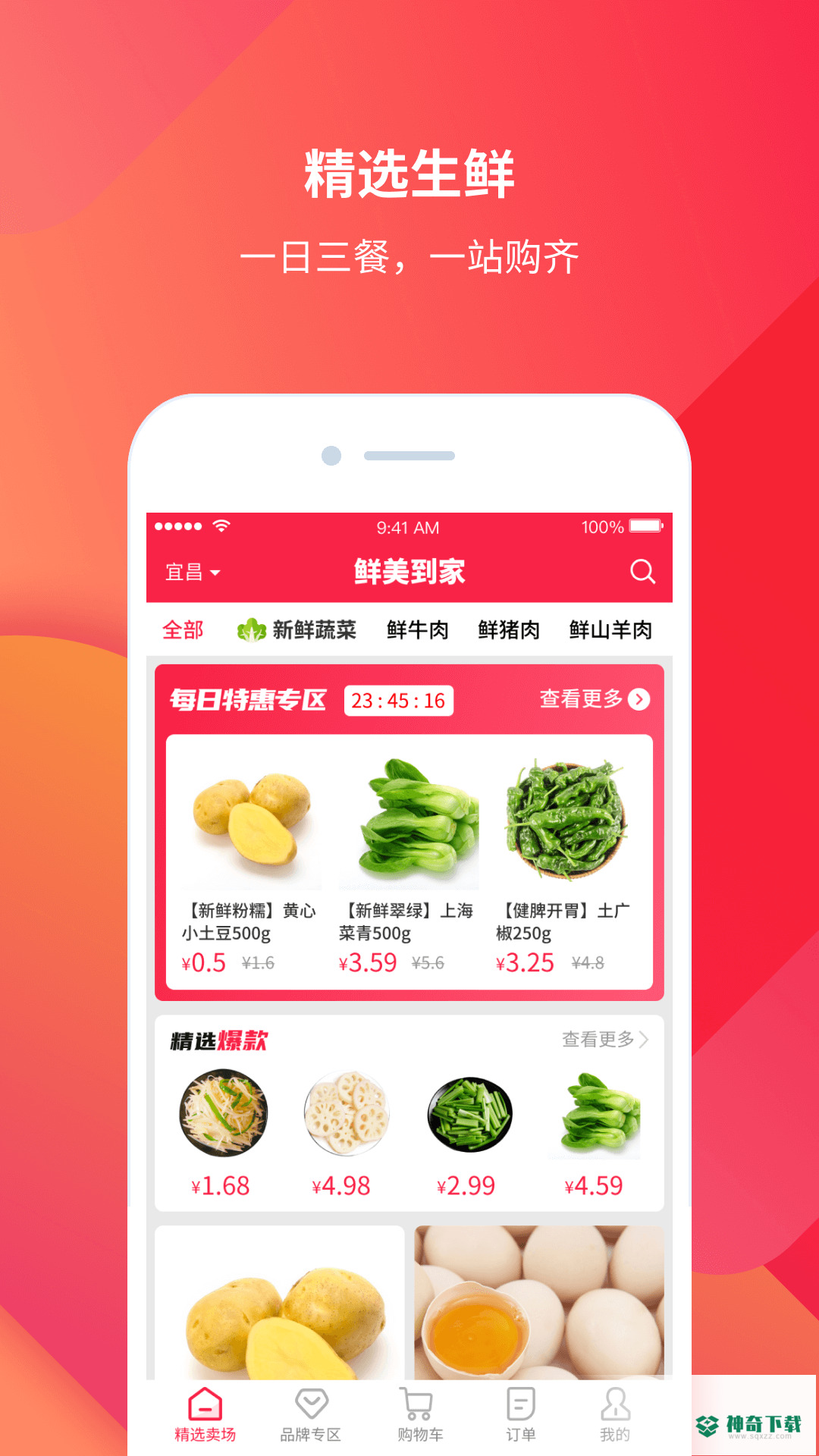 雀小宝安卓版下载