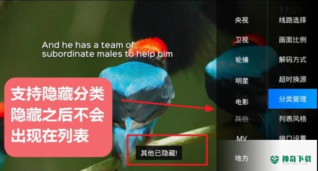 DIYP影音APP下载