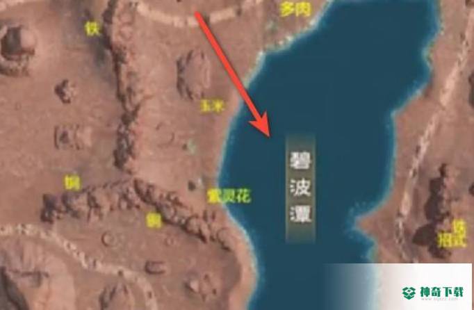 太荒初境水梦怎么获得