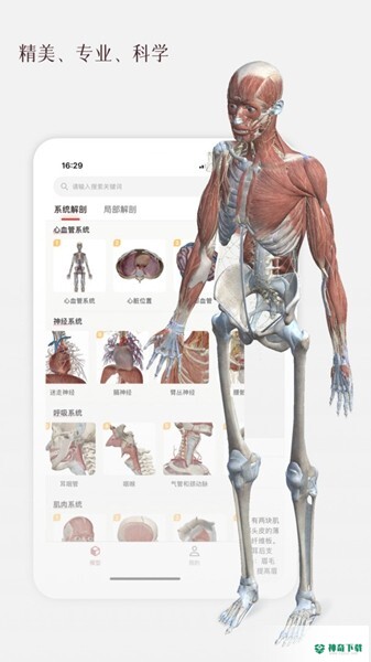 口袋人体解剖APP下载