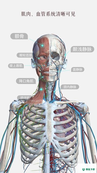 口袋人体解剖安卓版下载