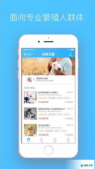 宠爱王国安卓版下载