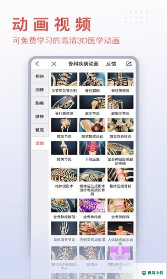 3Dbody艺用2023最新下载
